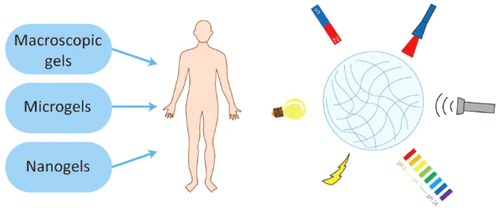 Hydrogel-Based Controlled Drug Delivery for Cancer Treatment: A Review