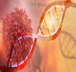 our commitment to combating cancer is unwavering