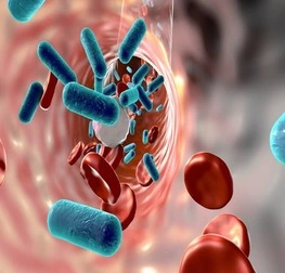 antibiotics
