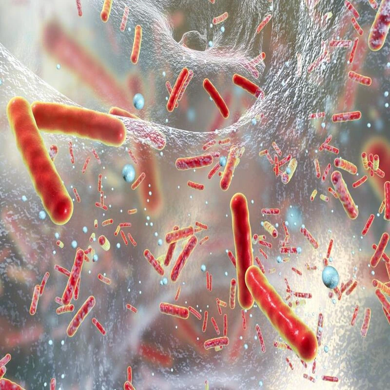Antibiotics