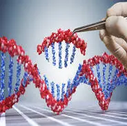 Accelerating Drug Discovery and Development